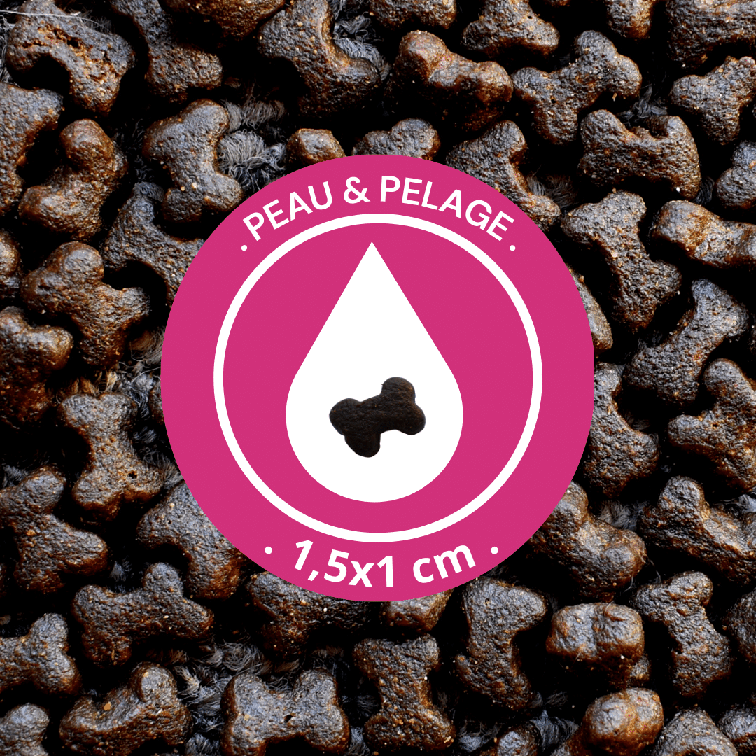 Friandises "Peau et Pelage" sans céréales - Chiens et Chats - DansMaGamelle