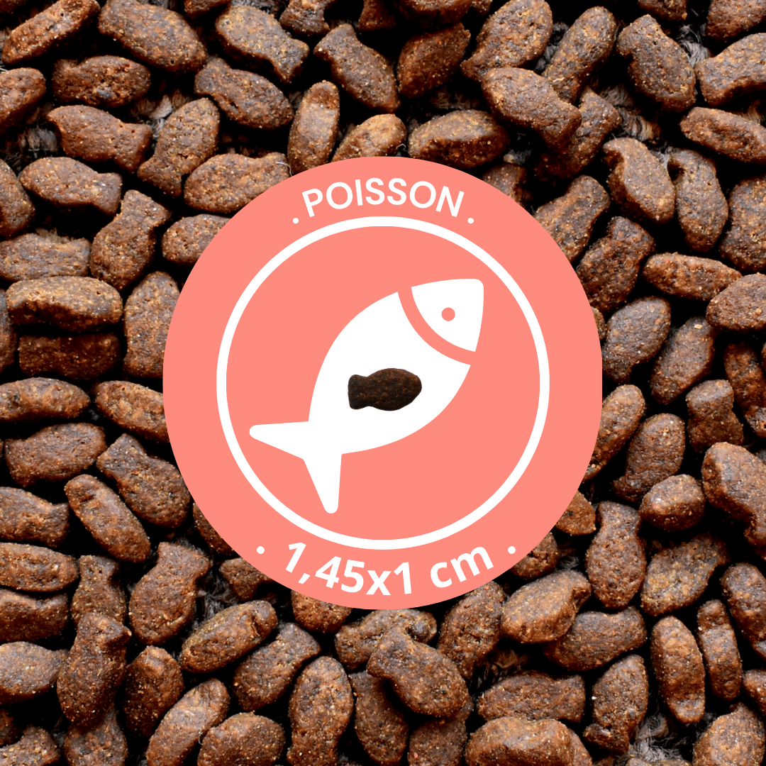 Friandises "Poisson" sans céréales - Chiens et Chats - DansMaGamelle