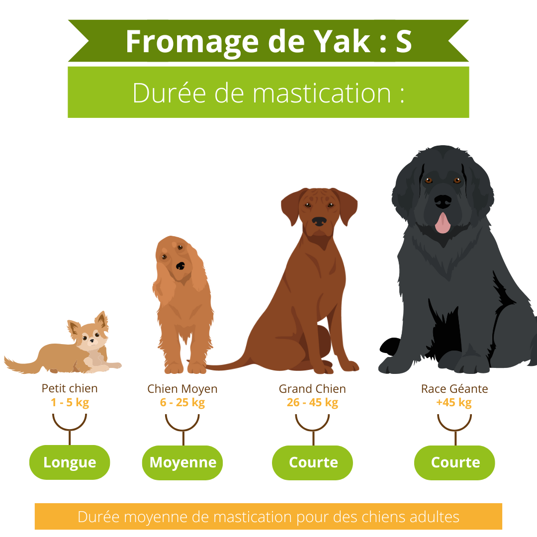 Fromage de YAK