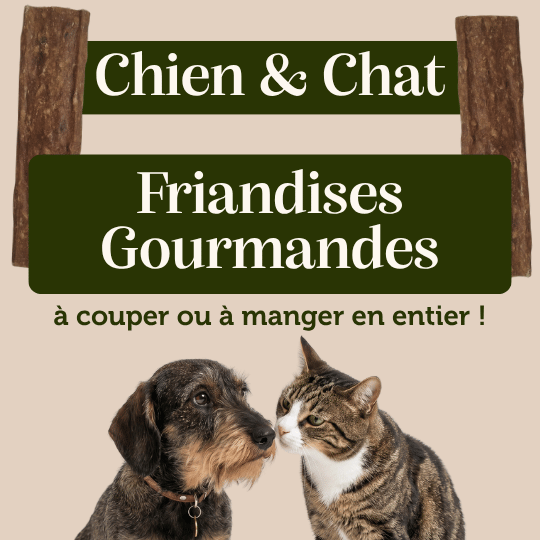 Lamelles de venaison pour chien et chat friandise appétante