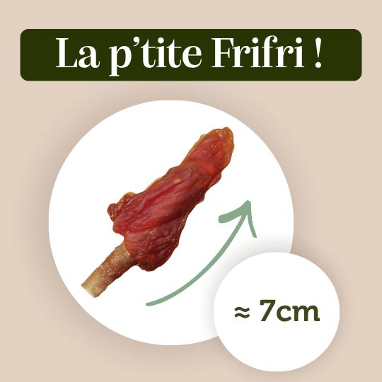 Lolypop friandise petit chien mastication taille