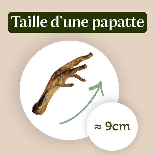 Pattes de poulet