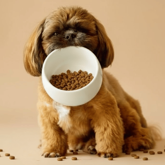 Croquettes sans céréales petit chien adulte - Dans Ma Gamelle
