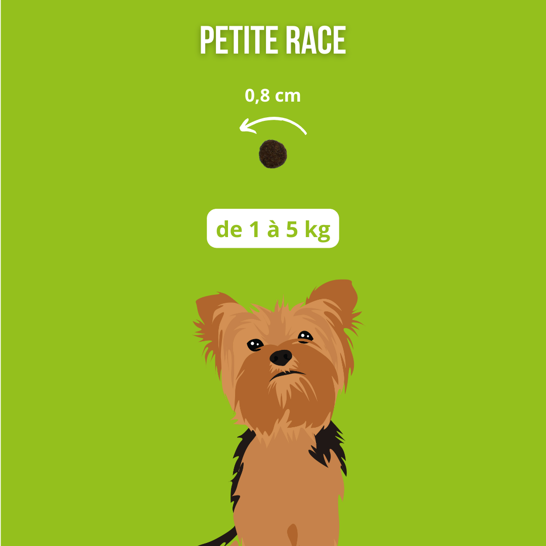 Croquettes sans céréales au Saumon - Chiens petites races
