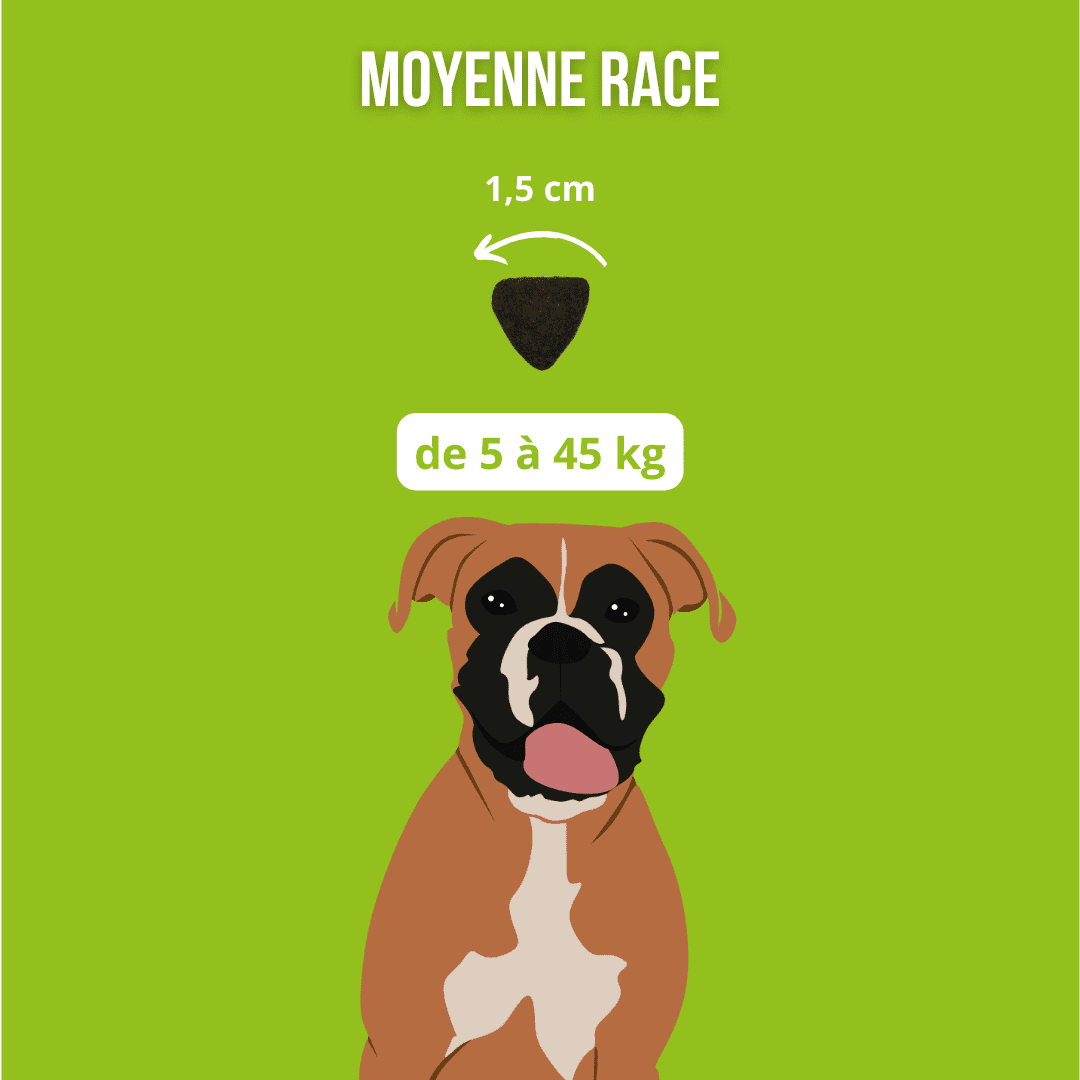 Croquettes sans céréales 65% d'Agneau Elevé à l'herbe - Chien Moyenne race