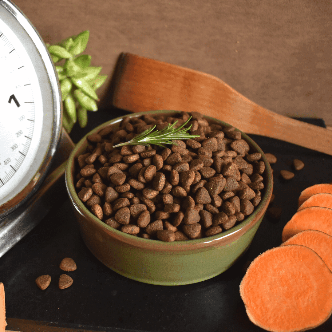 Croquettes sans céréales 65% Bœuf Angus - Chiens petites races - DansMaGamelle