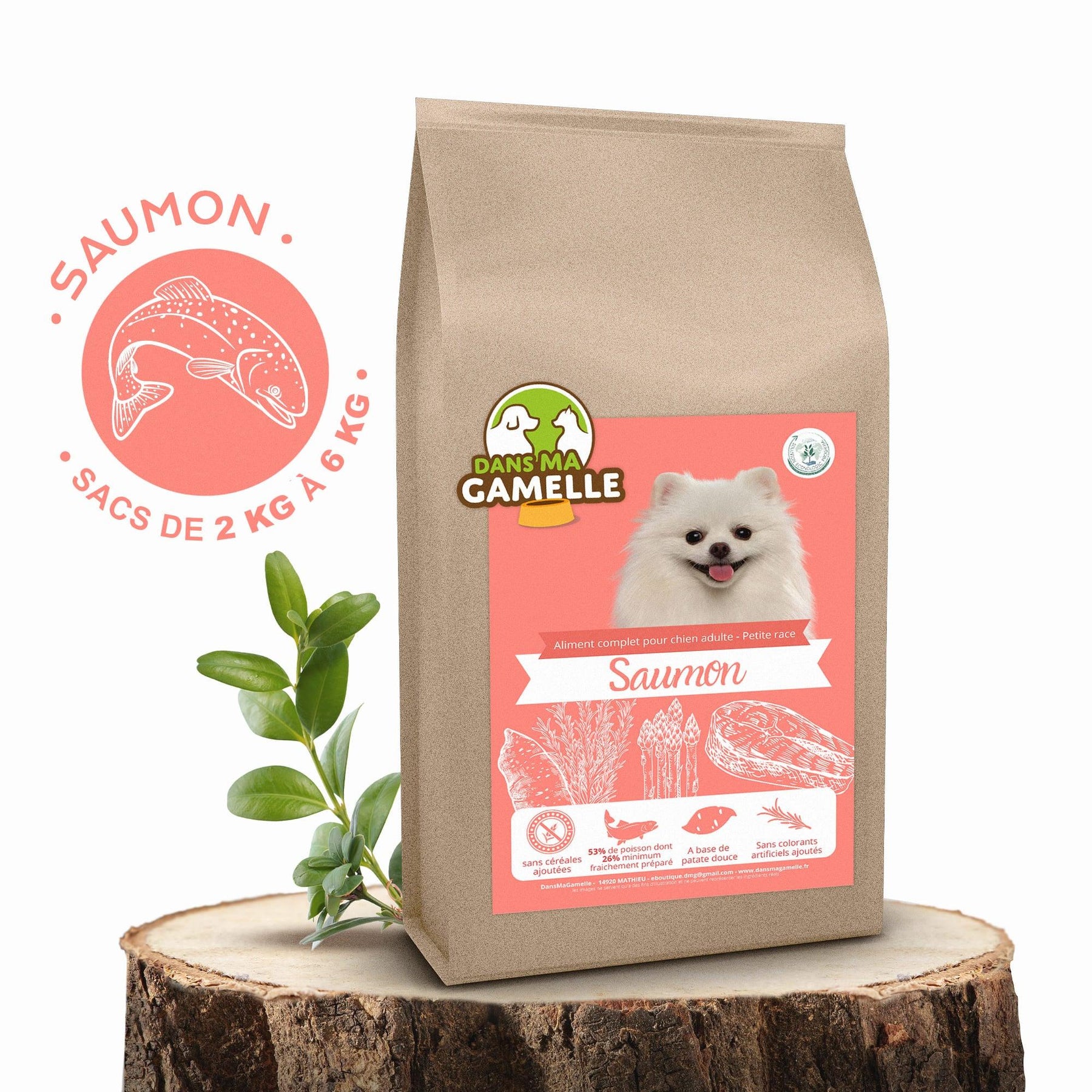 Croquettes sans céréales au Saumon - Chiens petites races - DansMaGamelle