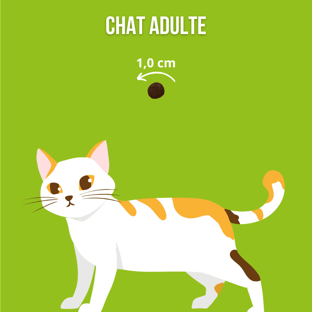 Croquettes sans céréales au Poulet avec du Thon et du Saumon - Chats adultes et séniors - DansMaGamelle