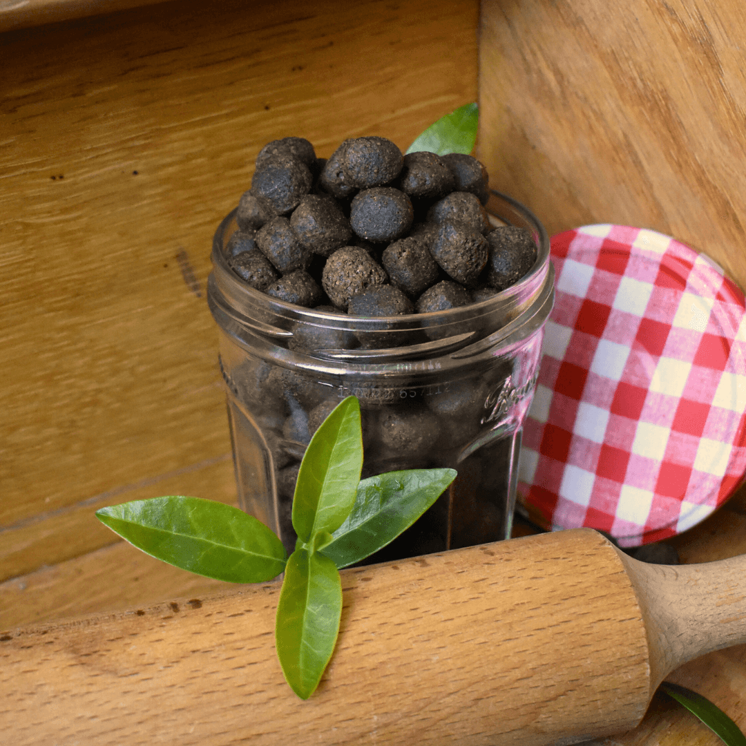 Croquettes sans céréales au Saumon - Chiots (Grandes races) - DansMaGamelle