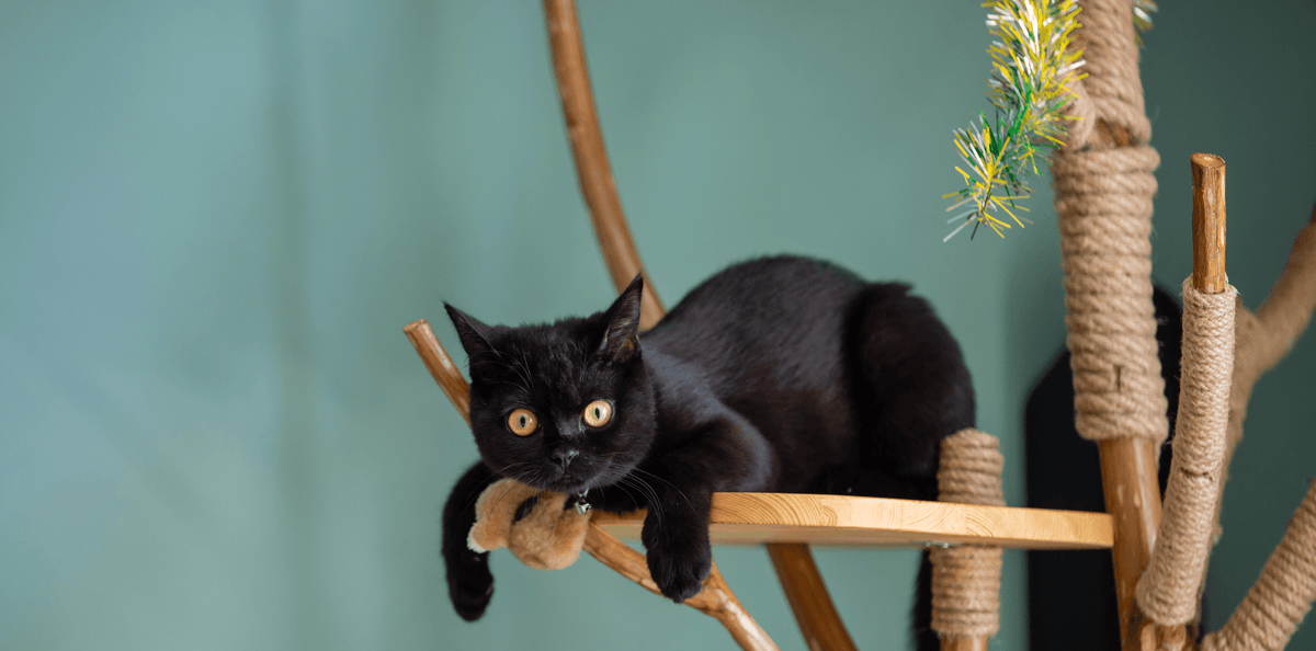 Faire son arbre à chat soi même - DansMaGamelle
