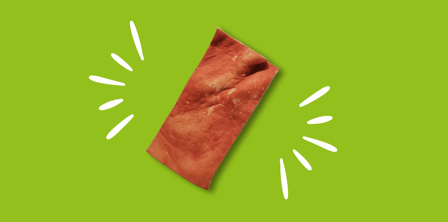 Chips-boeuf-chien-mastication-chiot
