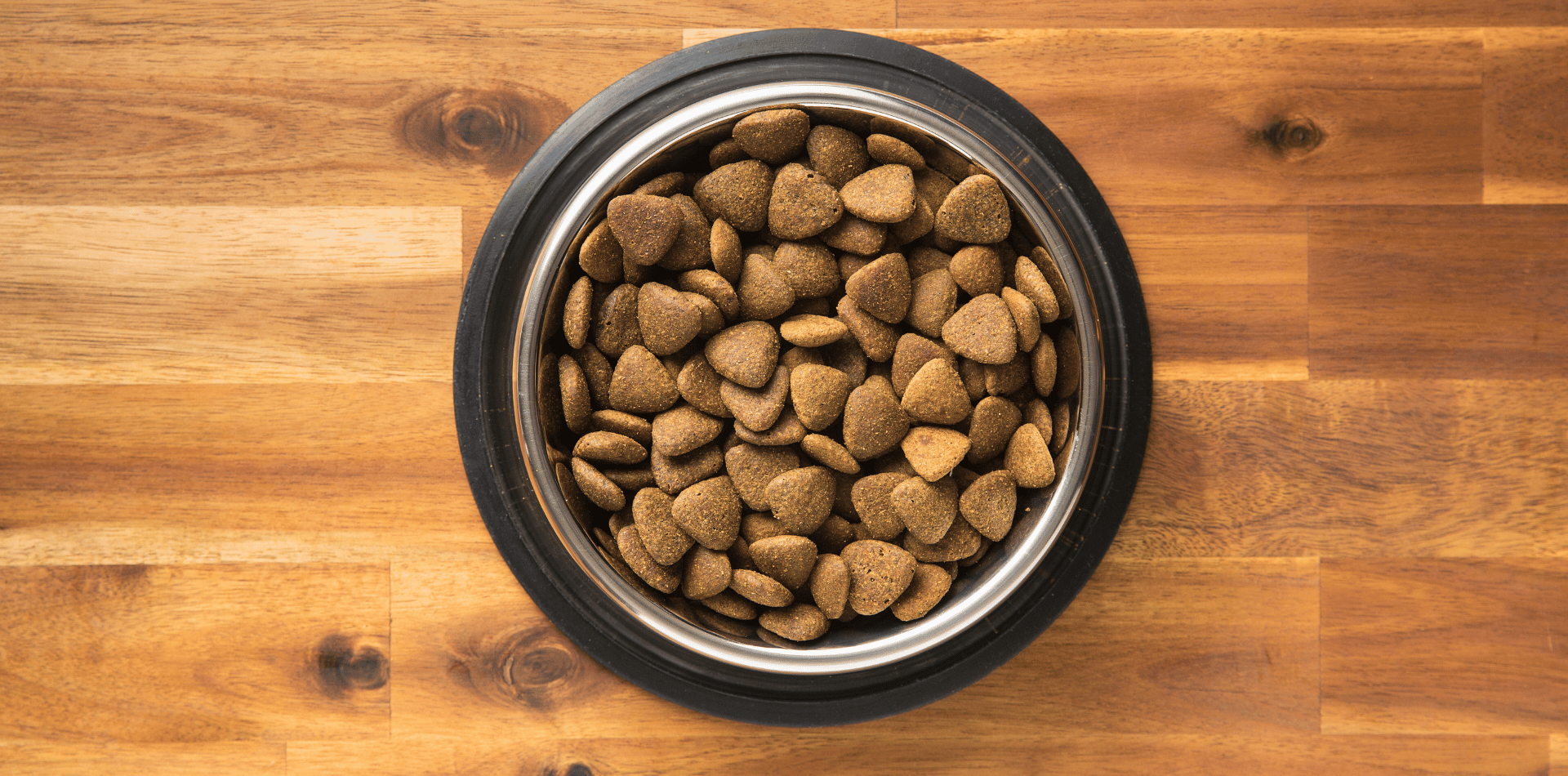 Comment conserver les croquettes de son chien et de son chat ?