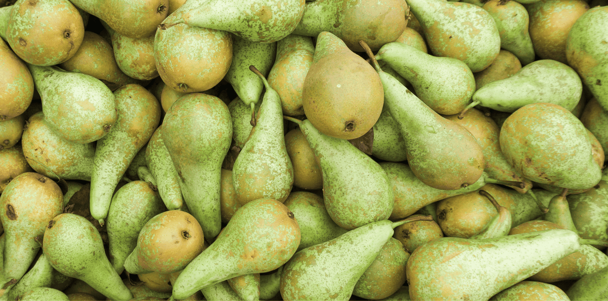 poire-toxique-chien-et-chat-bienfaits-vitamines
