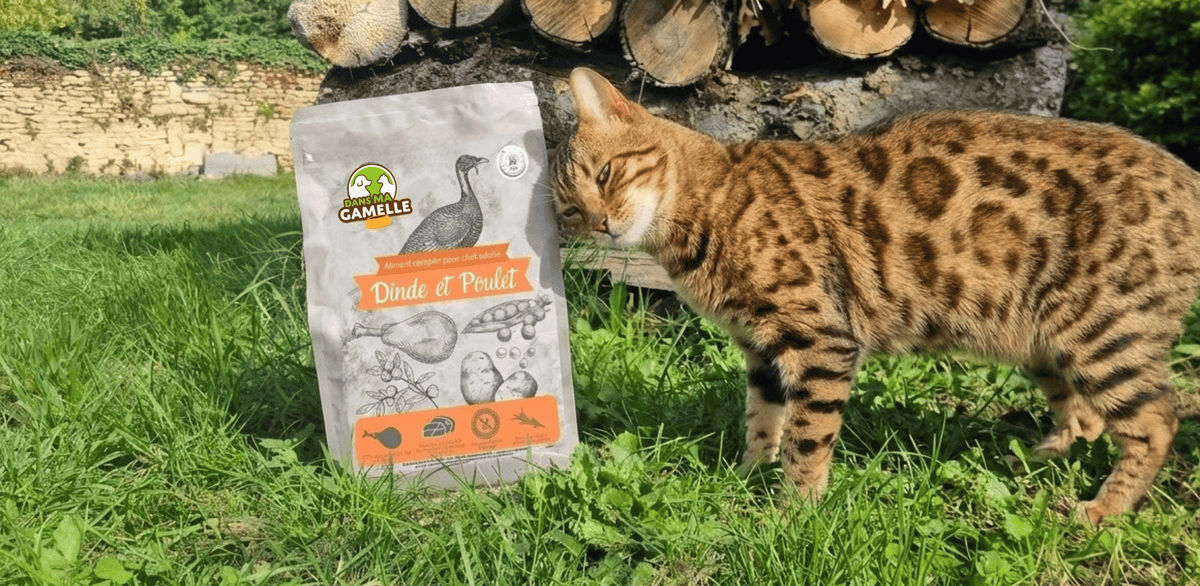 Croquettes chat adulte sans céréales - Dans Ma Gamelle