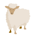 L'Agneau