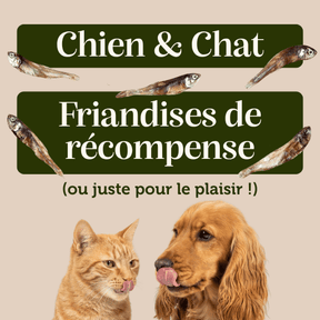 Anchois séchés - Chiens & Chats
