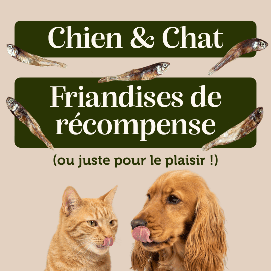 Anchois séchés - Chiens & Chats