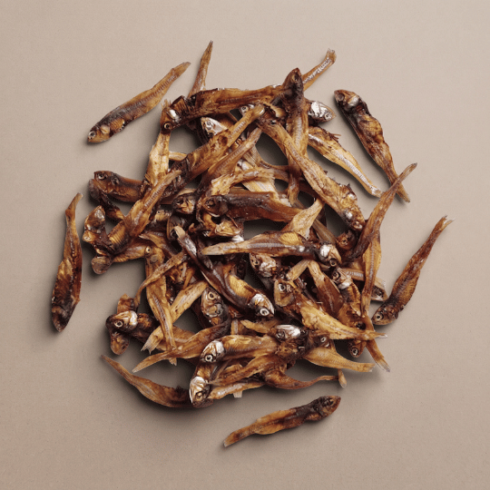 Anchois séchés Friandise chien et chat - Dans Ma Gamelle