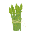 L'Asperge