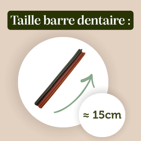 Barre dentaire naturelle chien mastication anti-tartre taille