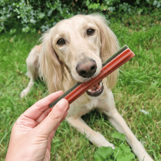 Barre dentaire naturelle chien mastication anti-tartre 