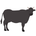 Le Bœuf Angus