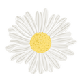 La Camomille