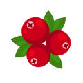 La Canneberge