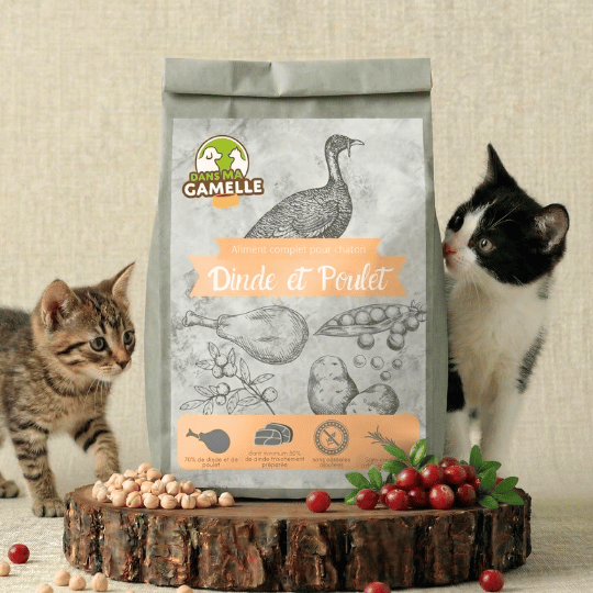 Chaton croquettes sans céréales dansmagamelle