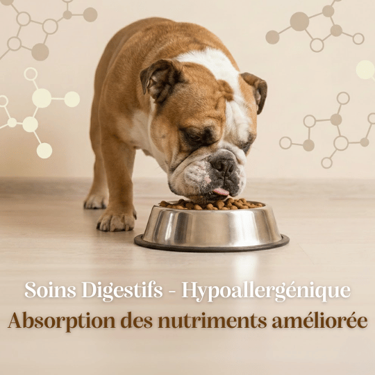 Croquettes Peptides sans céréales : Soins digestifs - Chien Adulte