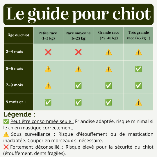 Chips de Bœuf - friandise chien mastication guide chiot