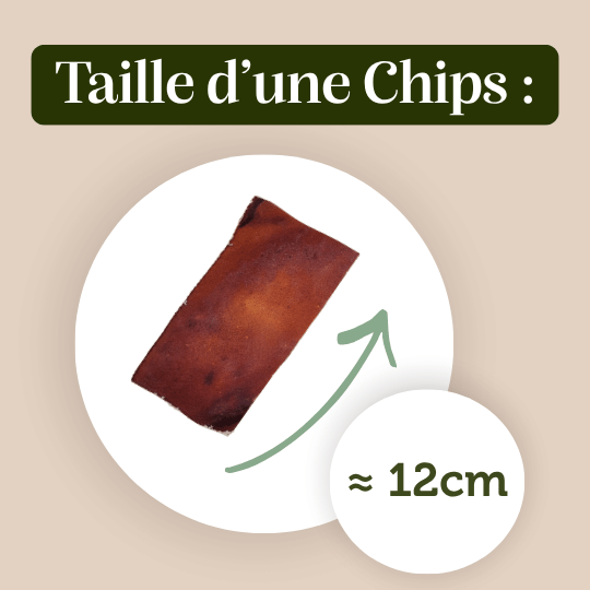 Chips de Bœuf - friandise chien mastication taille