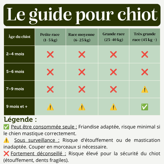Corne de buffle chien mastication naturelle résistante chiot
