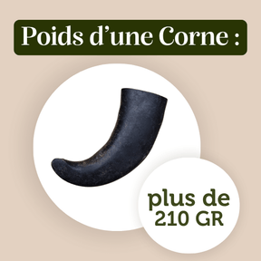 Corne de buffle chien adulte mastication naturelle résistante poids