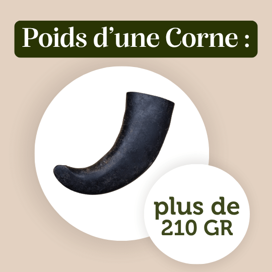 Corne de buffle chien adulte mastication naturelle résistante poids