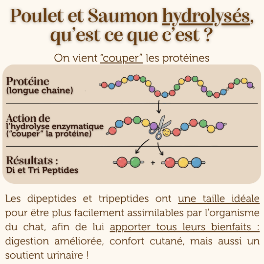 Croquettes Peptides sans céréales : Urinary Care - Chat Adulte
