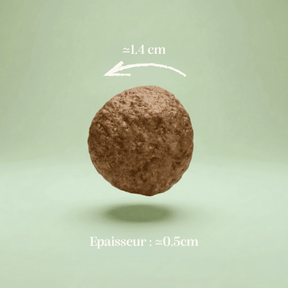 Croquettes sans céréales à l'agneau chien taille moyenne