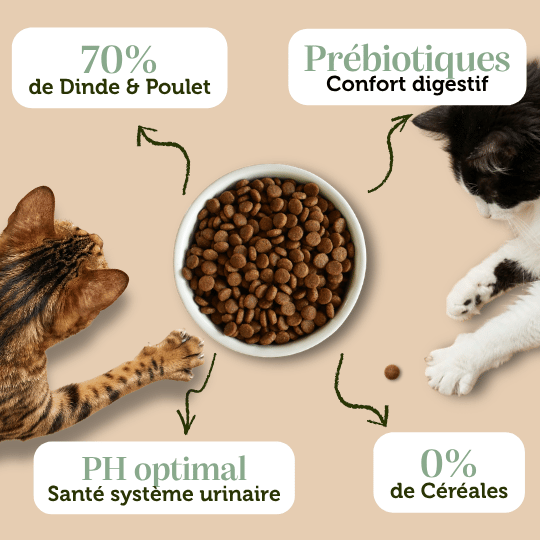 Croquettes sans céréales Dinde et Poulet pour chat d'extérieur et actif