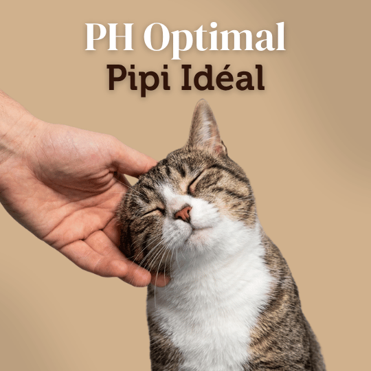 Croquettes Peptides sans céréales : Urinary Care - Chat Adulte