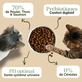 Croquettes sans céréales au Poulet avec du Thon et du Saumon - Chats adultes et séniors - DansMaGamelle