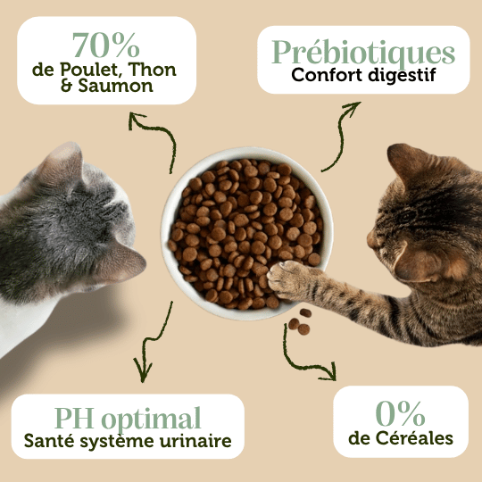 Croquettes sans céréales au Poulet avec du Thon et du Saumon - Chats adultes et séniors - DansMaGamelle