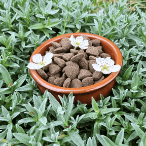 Croquettes sans céréales 65% d'Agneau Elevé à l'herbe