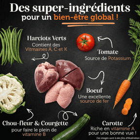 Croquettes sans céréales bœuf angus chien adulte