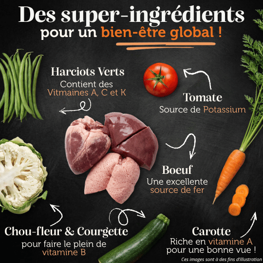 Croquettes sans céréales bœuf angus chien adulte