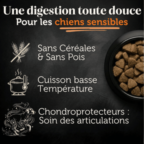 Croquettes sans céréales 65% Bœuf Angus - Chiens petites races - Dans Ma Gamelle