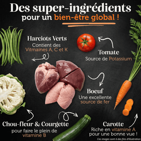 Croquettes sans céréales 65% Bœuf Angus - Chiens petites races - Dans Ma Gamelle
