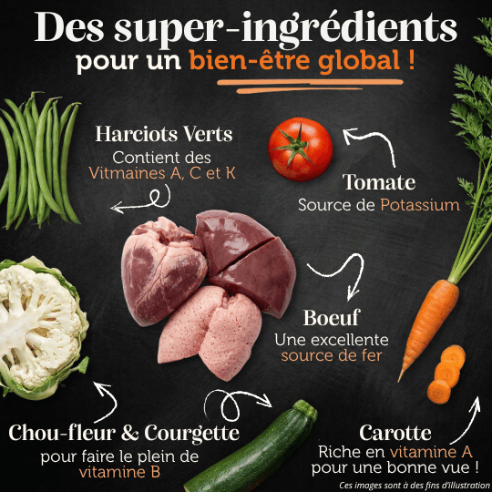 Croquettes sans céréales 65% Bœuf Angus - Chiens petites races - Dans Ma Gamelle