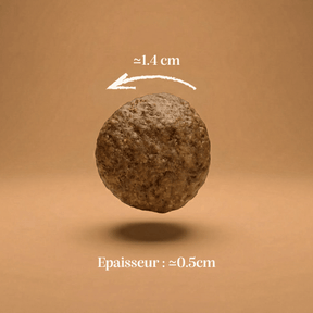 Croquettes sans céréales dinde chien adulte taille moyenne