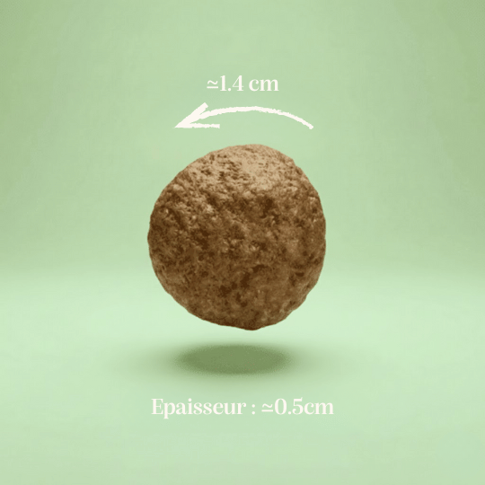 Croquettes sans céréales au Porc chien taille moyenne
