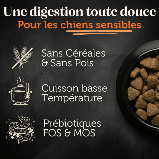 Croquettes sans céréales 65% Poulet plein air - Chiens moyennes races - Dans Ma Gamelle